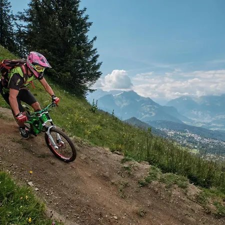 Dauphinelles 09 Gryon