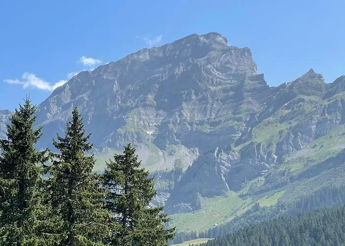 Dauphinelles 09 Appartement