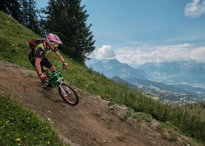 Dauphinelles 09 Gryon