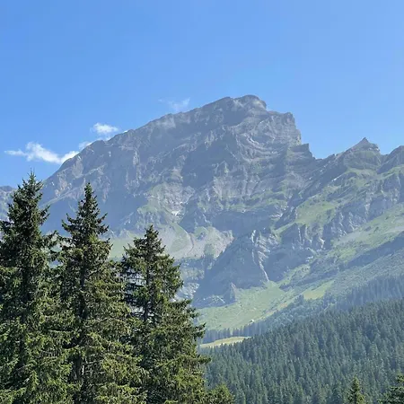 Dauphinelles 09 Apartamento