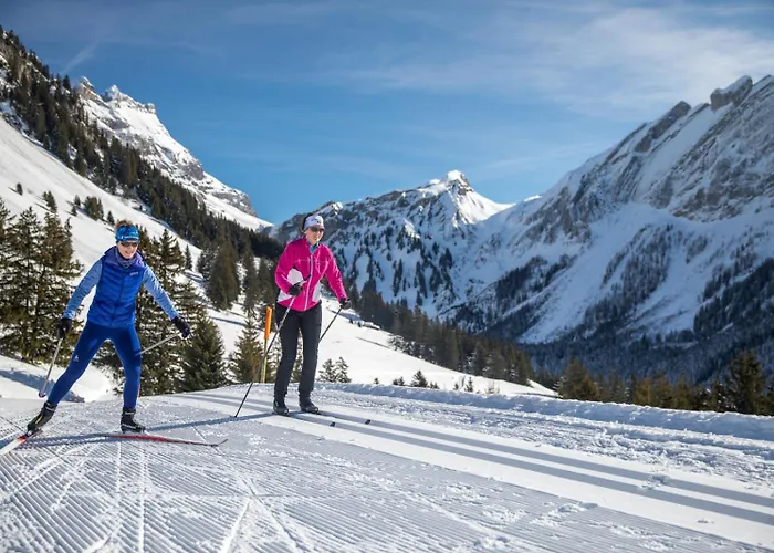 Dauphinelles 09 Apartamento Gryon