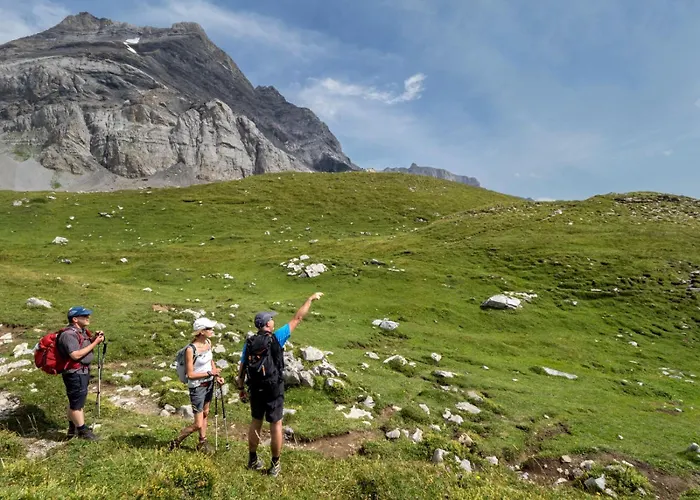 Apartament Dauphinelles 09